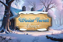 Winter Forest Escape